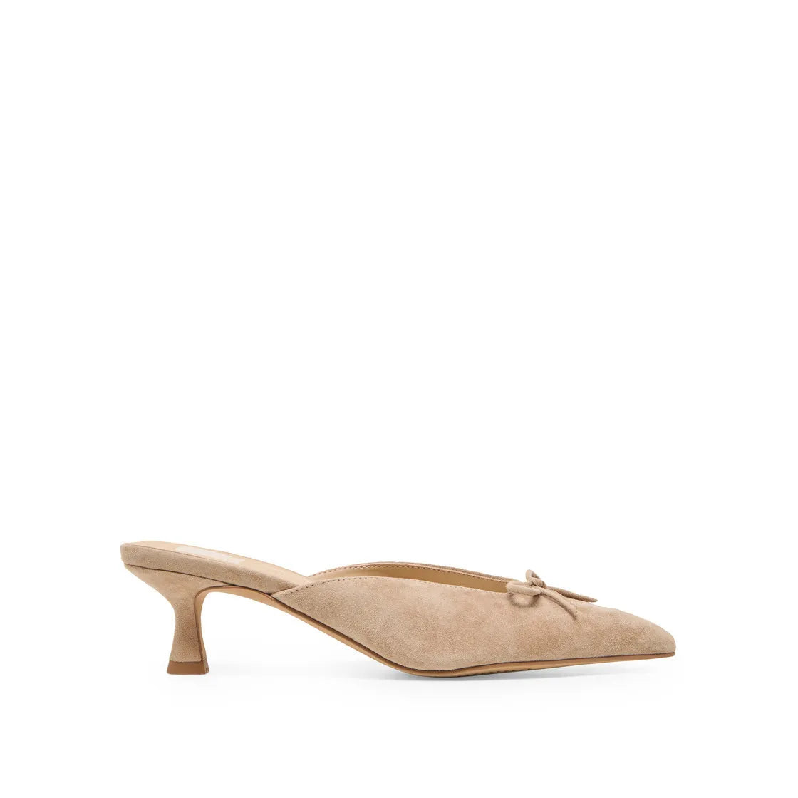 CLEO CAMEL